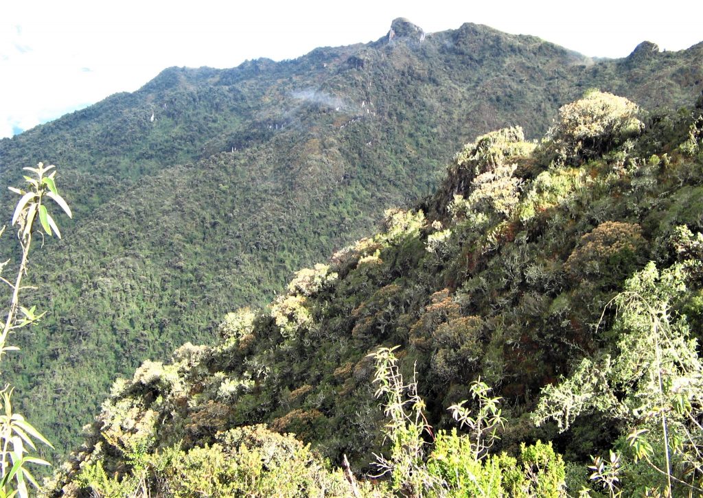 Inca Trail, Machu Picchu - what to see and do - Bohemianhag.com